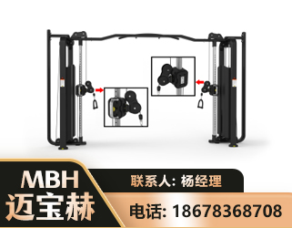 阿克苏大飞鸟训练器