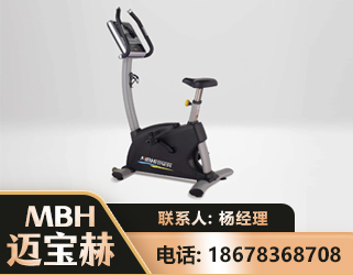 阿克苏立式健身车